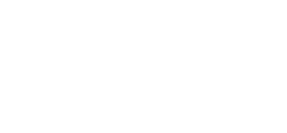 footer-logo
