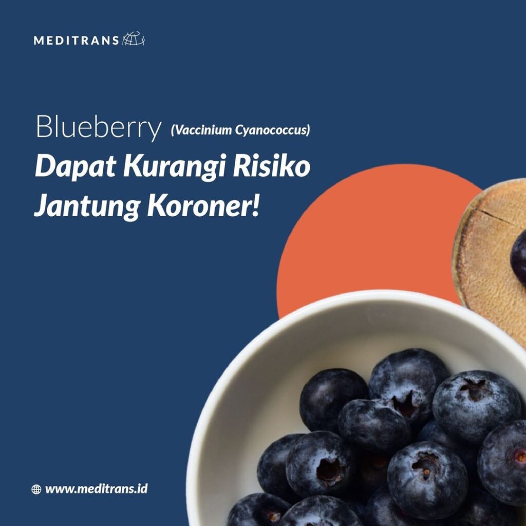Blueberry (Vaccinium cyanococcus) Dapat Mengurangi Risiko Penyakit Jantung Koroner